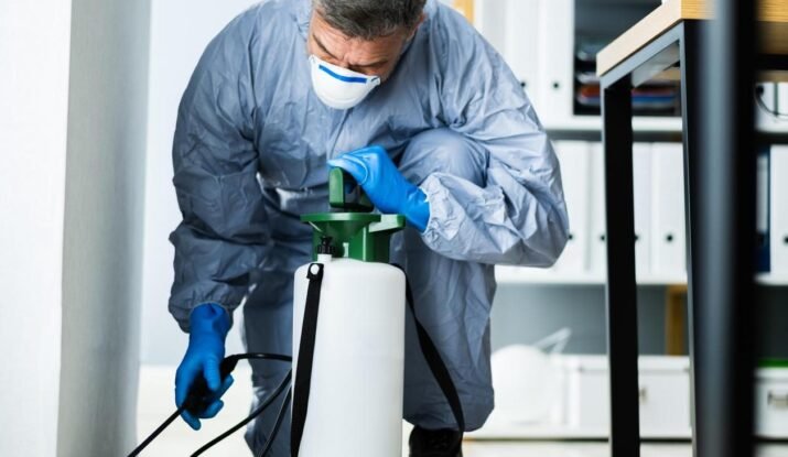 Why is Pest Control Needed in Abu Dhabi?