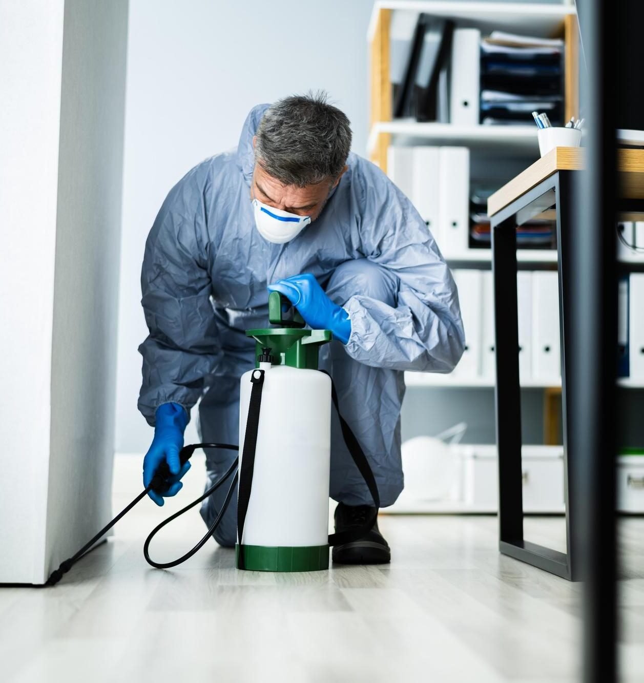 Why is Pest Control Needed in Abu Dhabi?