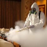 How Much Does Pest Control Cost in Abu Dhabi for a 2-Bedroom Apartment?