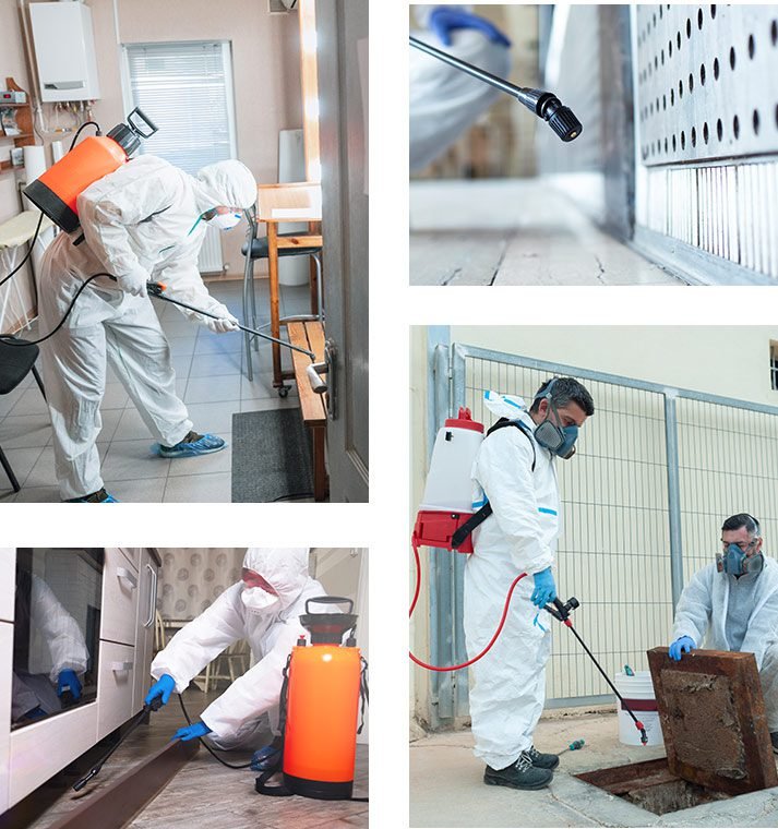 Say Goodbye to Pests in Al Gurum with PPJ Pest Shield Solution