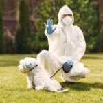 Are Pest Control Chemicals Safe for Pets? A Guide for Abu Dhabi Apartment Owners