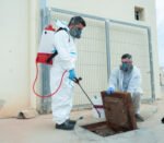Why Pests Get Worse in Abu Dhabi During Summer (And How to Stop Them Early)