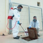 Why Pests Get Worse in Abu Dhabi During Summer (And How to Stop Them Early)