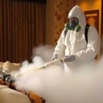 How Much Does Pest Control Cost in Abu Dhabi for a 2-Bedroom Apartment?
