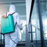 Are You Planning to Book a Fumigation Service in Abu Dhabi? Here’s What to Expect Before, During and After Treatment